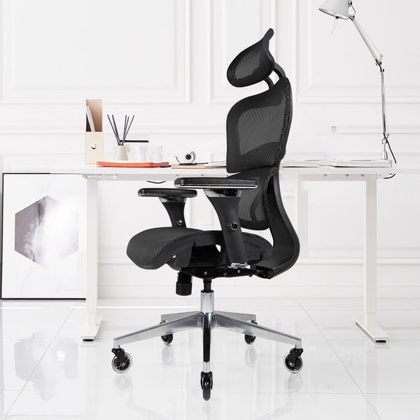 NOUHAUS Ergo3D Ergonomic Office Chair Review