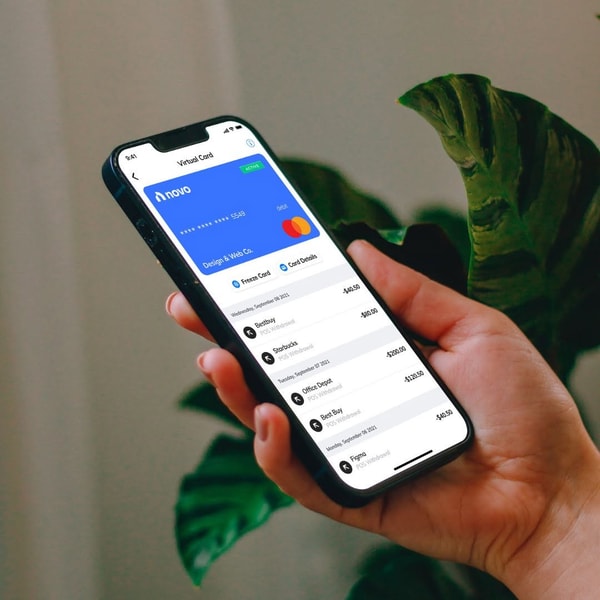 Novo Business Checking Account Review