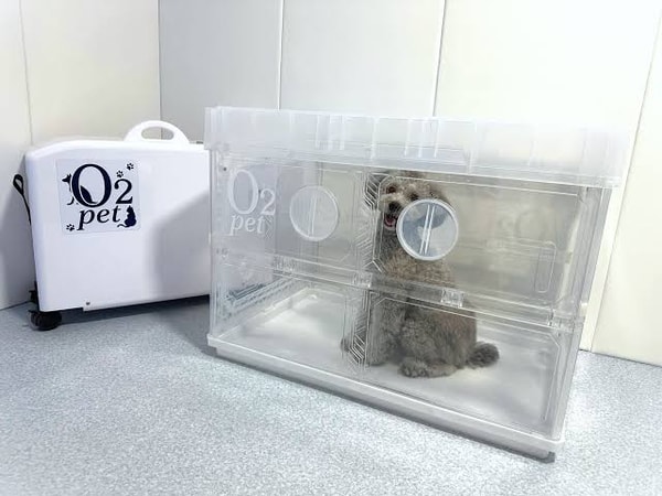 O2 Chargeについて