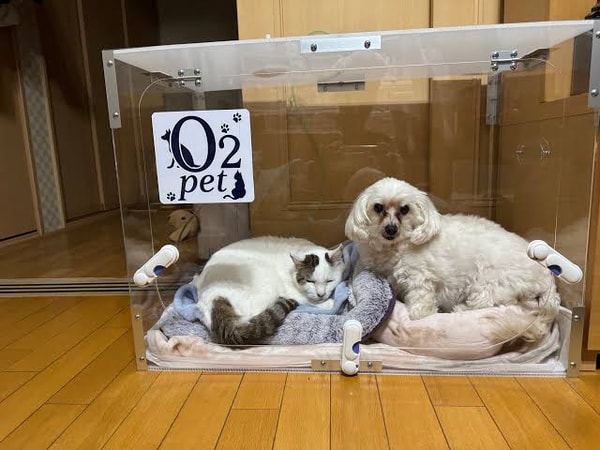 O2 Charge レビュー