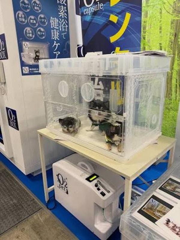 O2 Charge O2 Pet Oxygen Concentrator レビュー