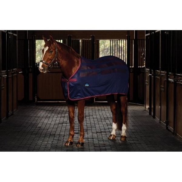 Oakfield Weatherbeeta Scrim Cooler Review
