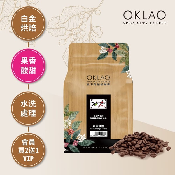 OKLAO 哥斯大黎加 聖蘿蔓處理廠 蜂鳥 咖啡豆 評測