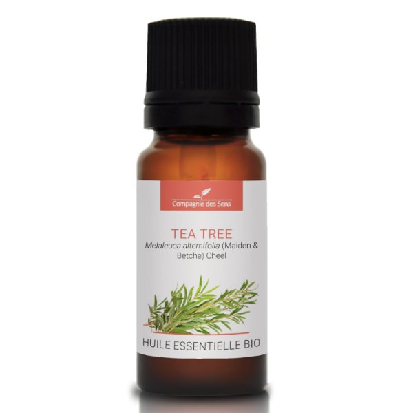 Olium Drzewo herbaciane - naturalny olejek eteryczny 10ml Recenzja
