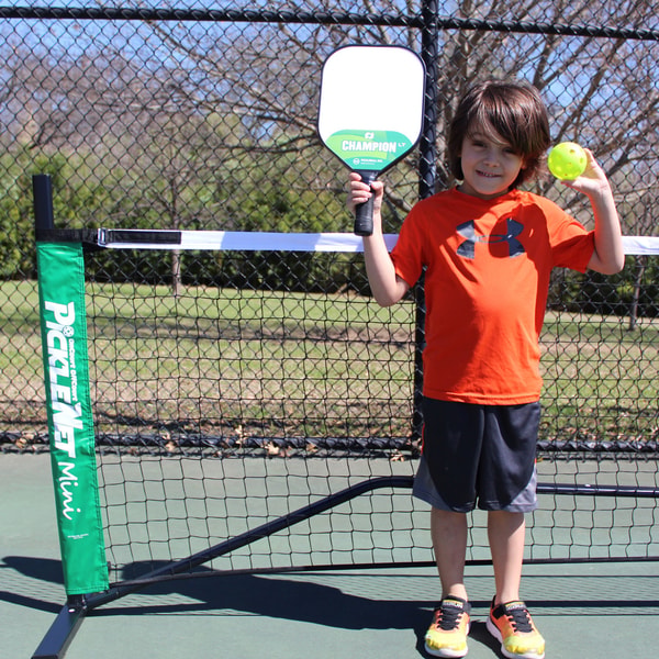 OnCourt OffCourt PickleNet Mini Reviews