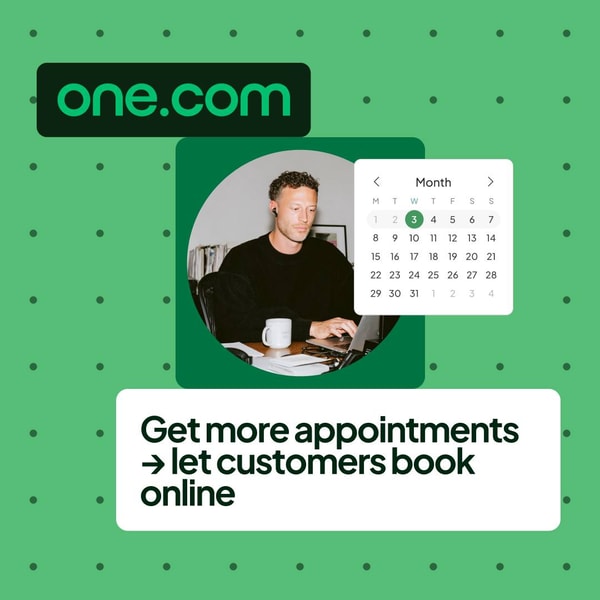 One.com Business Plan Review