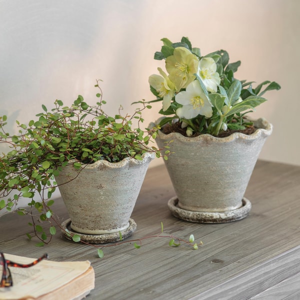 One.World Carden Planter Reviews