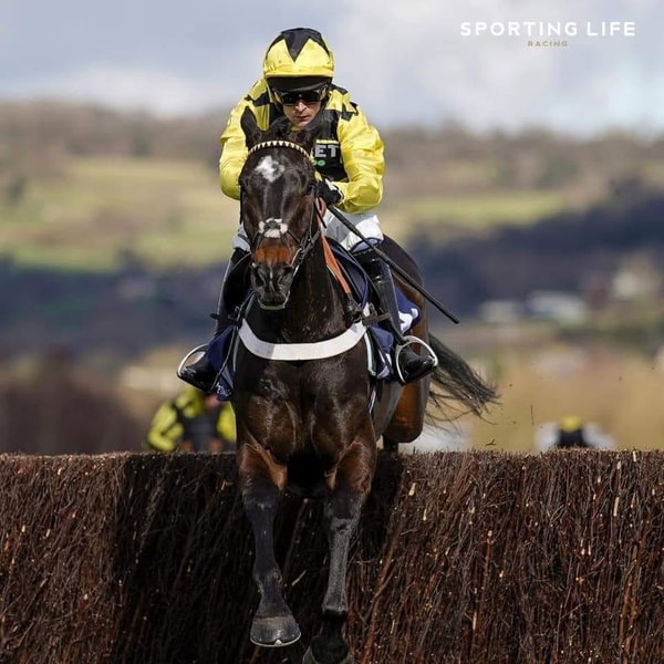 One Stop Racing Review