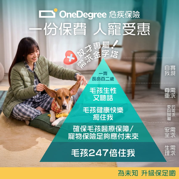 关于 OneDegree