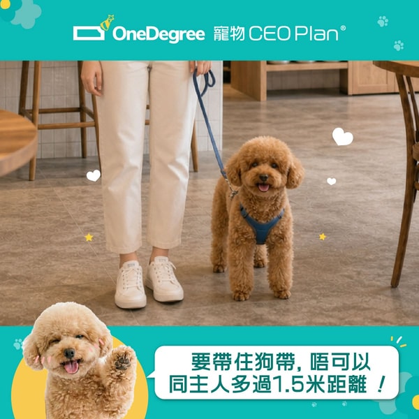 OneDegree 寵物CEO Plan Review