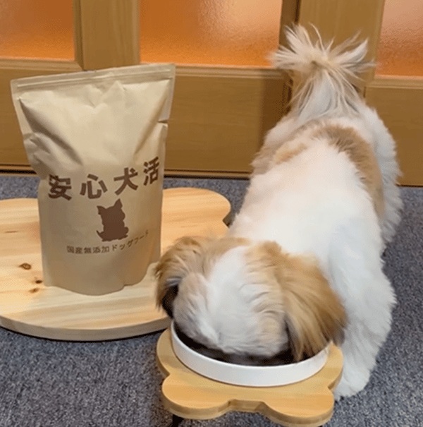 ONEDOGS 安心犬活 レビュー