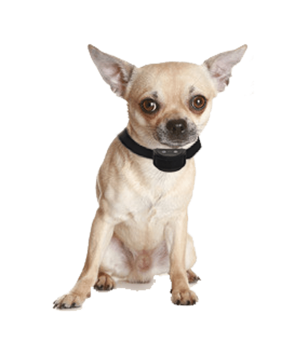 Online Honden Speciaalzaak Anti blafband OHS25 beoordeling