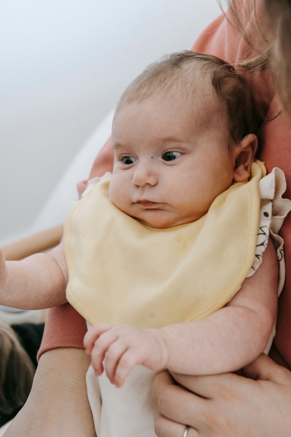 About Only Bib's