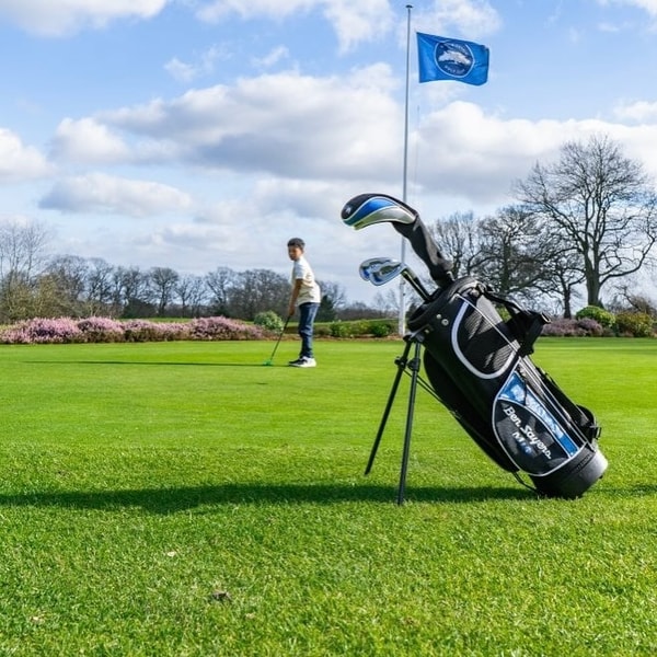 Overview of Only Birdies
