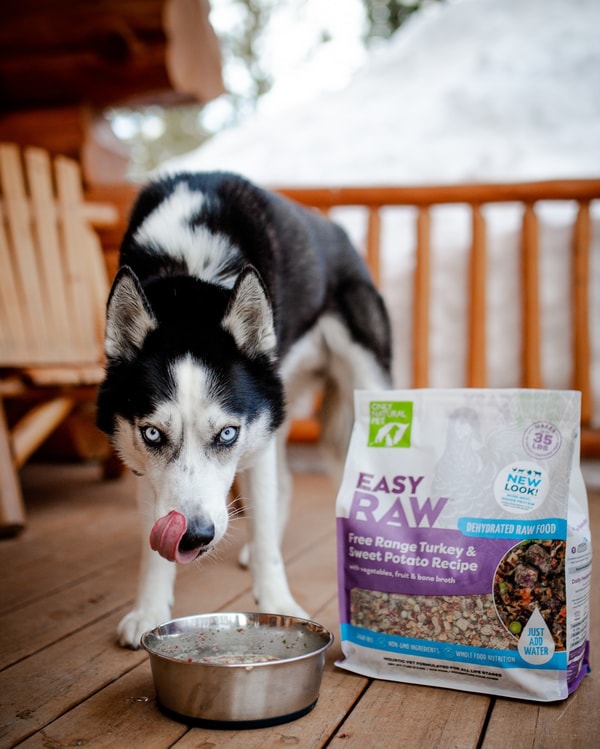 Only Natural Pet Review