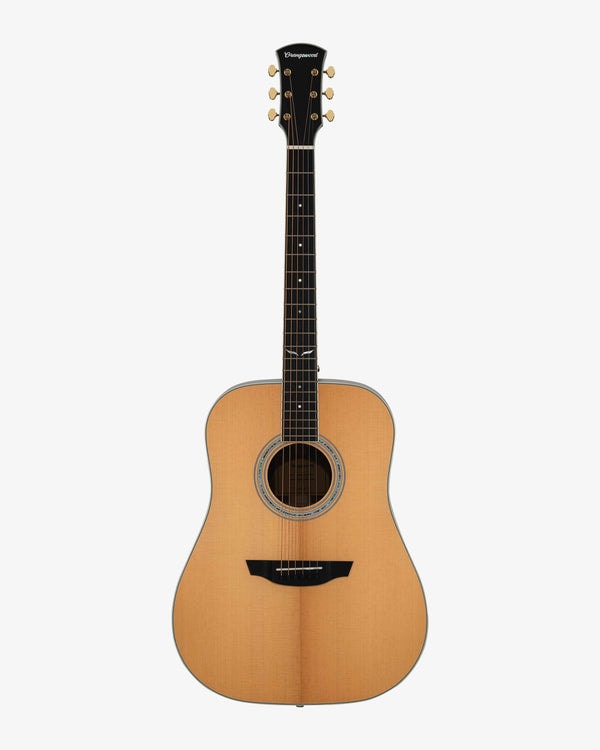 Orangewood Guitars Berkeley Review