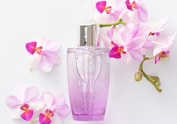 Orchid Beautyについて