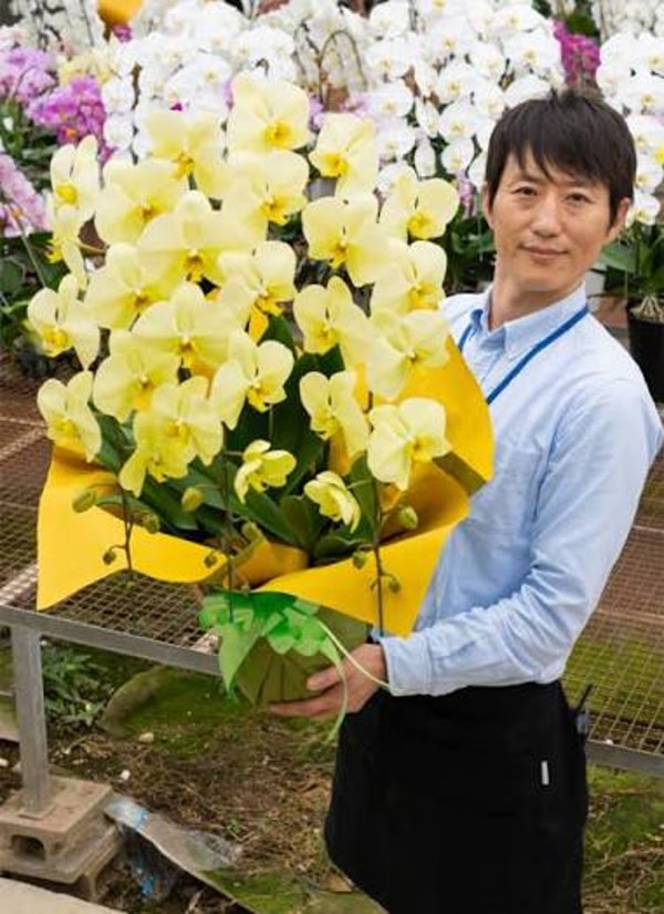 Orchid Fan レビュー