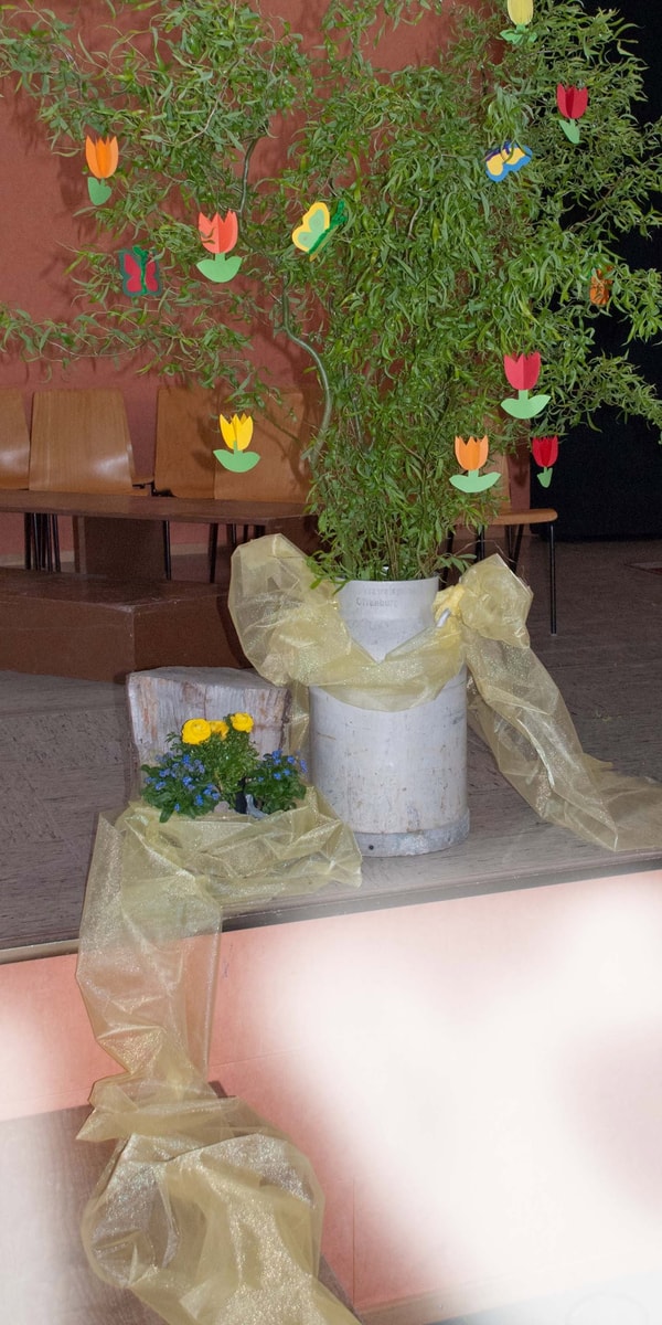 Organza-Shop Bewertung