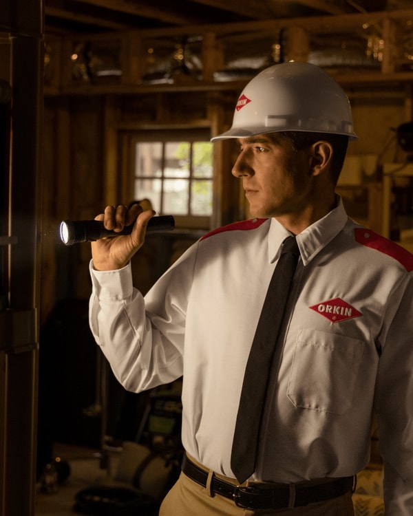 About Orkin