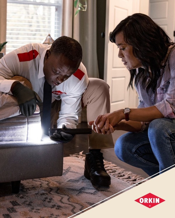 Orkin Review