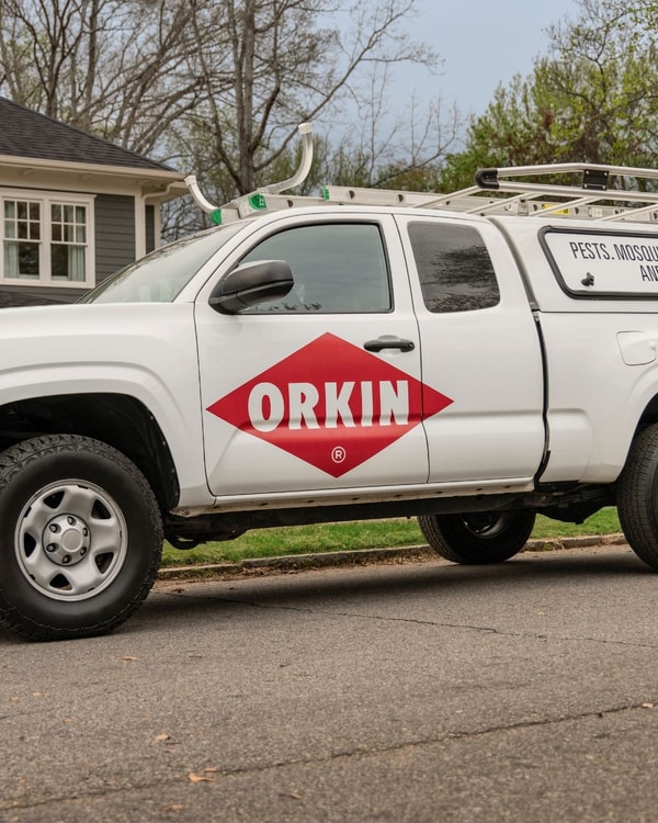 Orkin Pest Control Services Review
