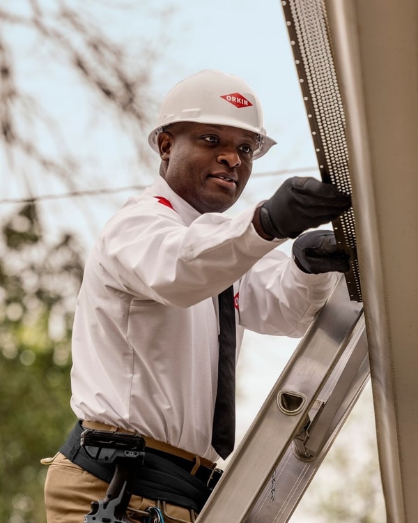 Orkin Termite Treatment Review