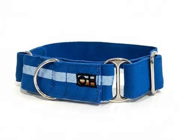Oscar & Hooch Martingale Dog Collar Review