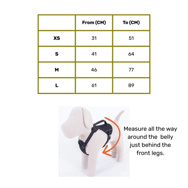 Oscar & Hooch Adventure Dog Harness Review