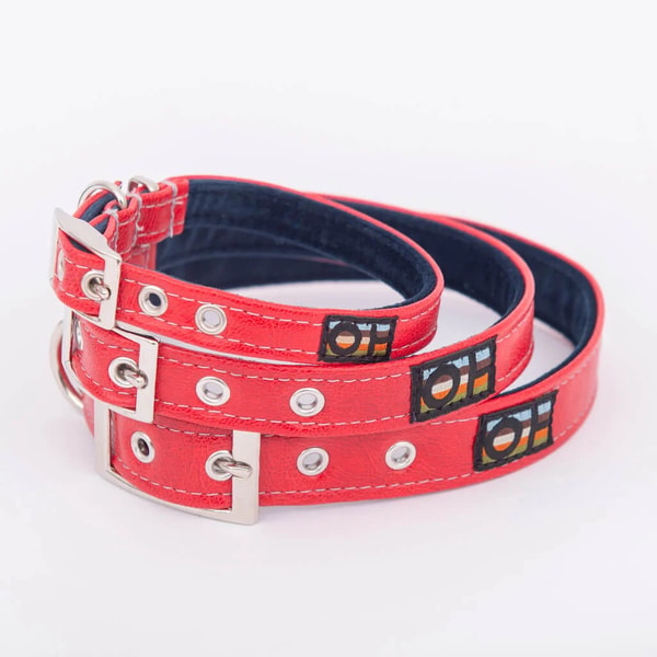 Oscar & Hooch Vegan Leather Dog Collar Review