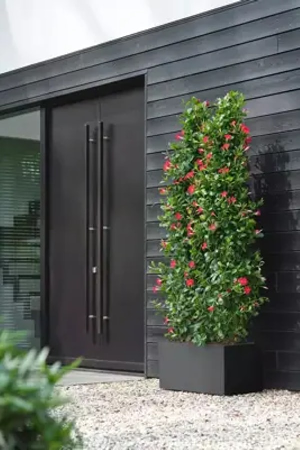 Osdorp Elho Vivo Next plantenbak met wieltjes 80cm living black Review