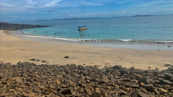 About Our Panama