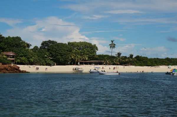 Our Panama Review