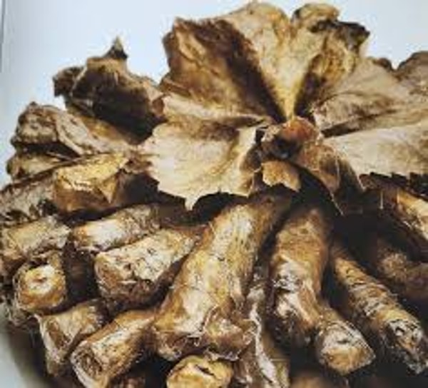 Our Recipe Tree Review