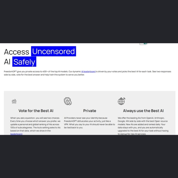 Overview of FreedomGPT 