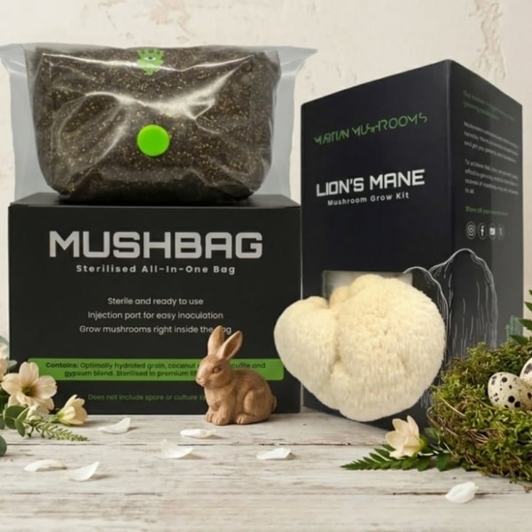 Overview of Martian Mushrooms