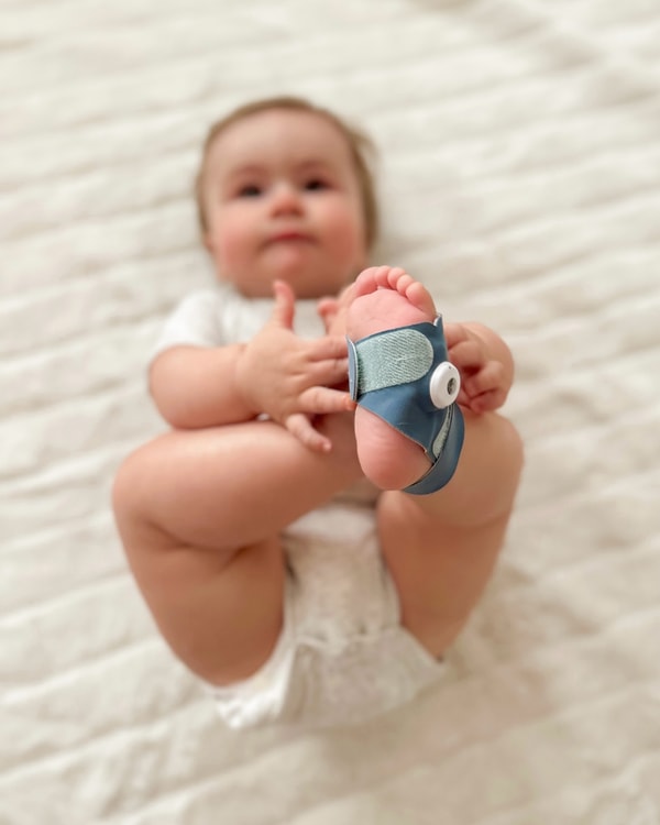 About Owlet 