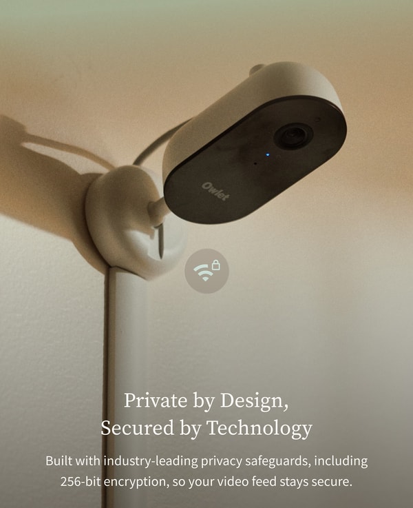 Owlet Review