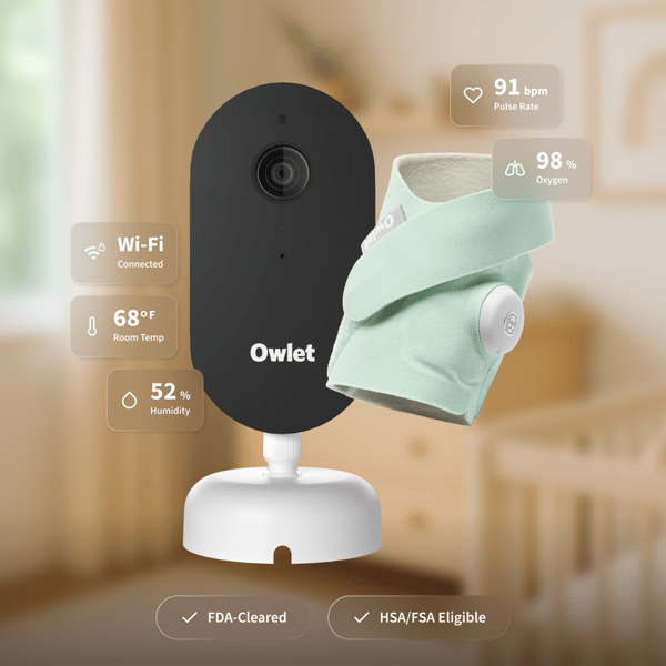 Owlet Dream Duo Review