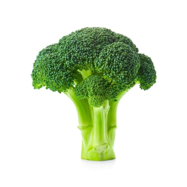 Paddock to Pantry Broccoli Review