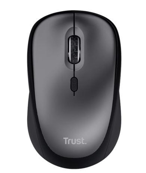 PAGRO Trust YVI+ Wireless Mouse Bewertung
