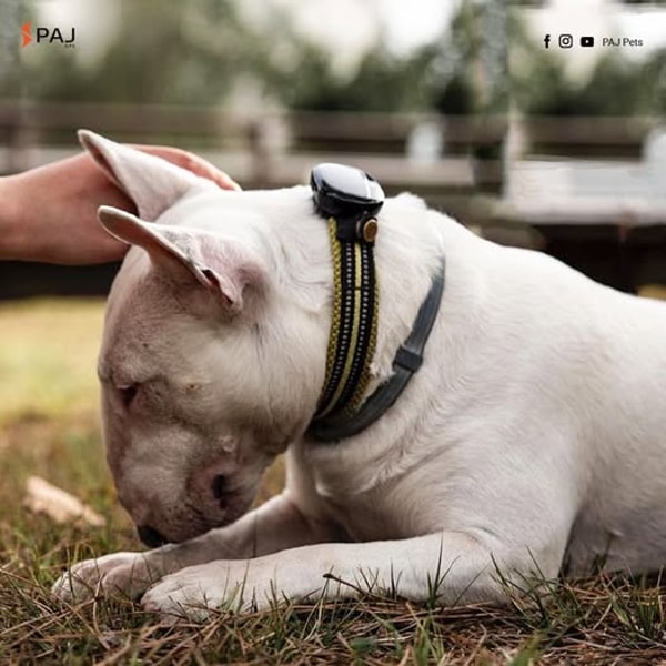 PAJ GPS Review