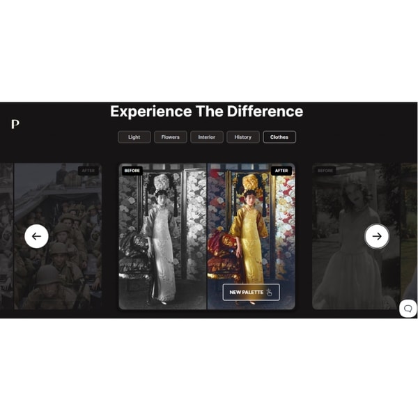 PALETTE FM AI Photo Colorization Review