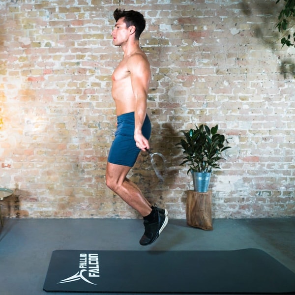 Pallid Falcon Get-Strong-Trainingssystem Bewertung