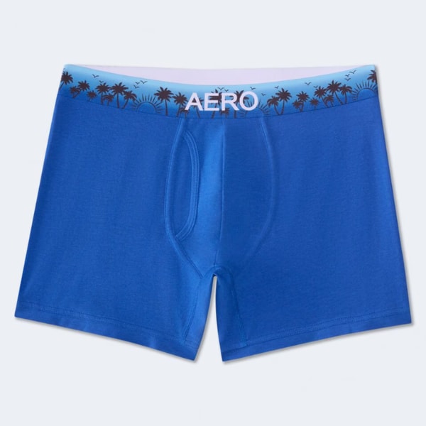 Aeropostale Palm Tree Waistband 4.5 Knit Boxer Brief Review