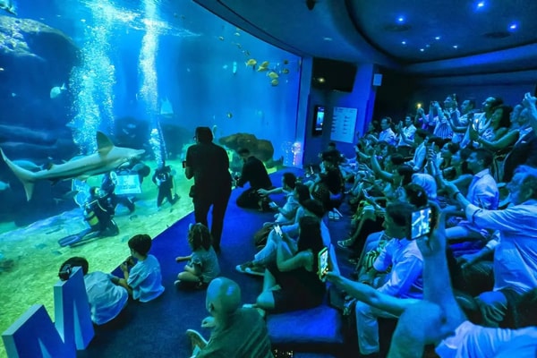 Palma Aquarium Review