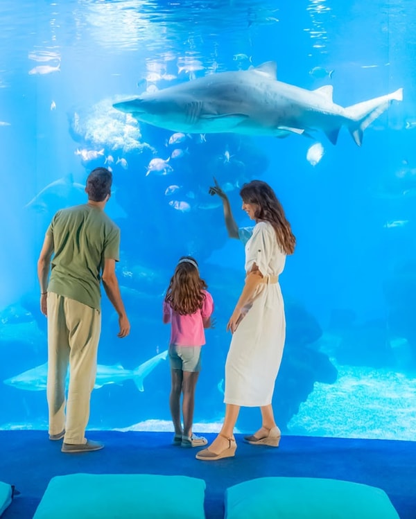 Palma Aquarium Special Marine Activities Review