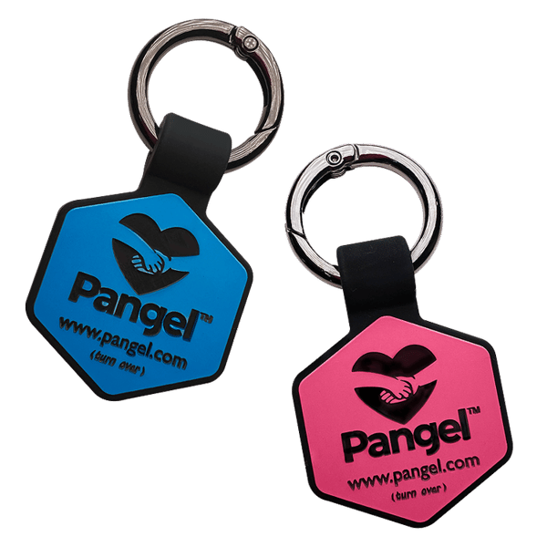 About Pangel