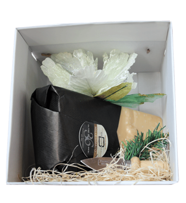 Parmigiano Reggiano Kit Natale 36 Mesi Recensione