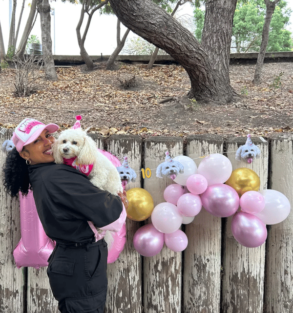 PartyAnimal Standard Pack Review